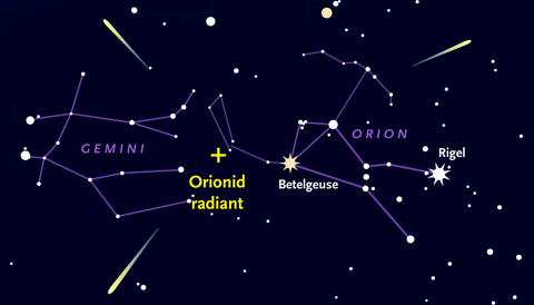 orionid