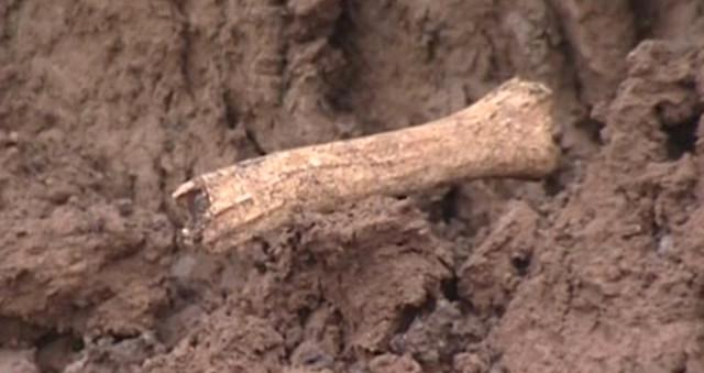 Palu ailesi hakkında son dakika bilgisi! Bakanlık devreye girdi