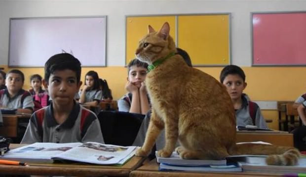 Pasaport tamam! İsviçre'ye gidiyor