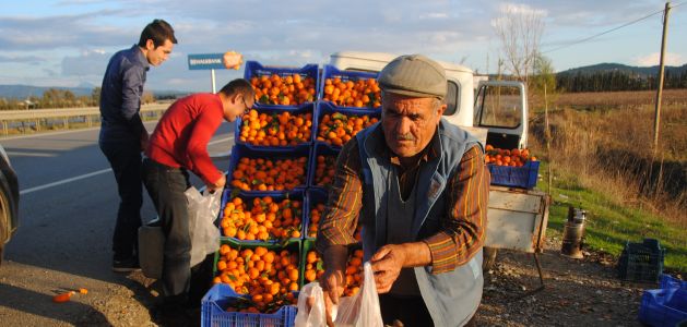 Antalya'da yaşanan hortum sonrası portakala zam geliyor