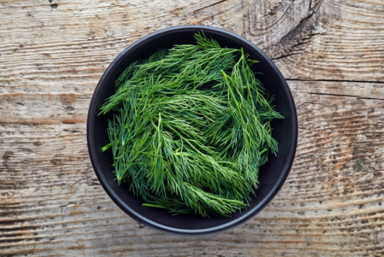 Dereotunun faydaları nelerdir? Dereotu zayıflatır mı?