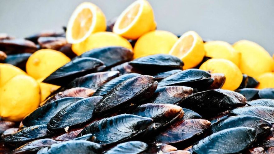 Bodrum’da 50’nin üzerinde kişi midye yedikten sonra rahatsızlandı!