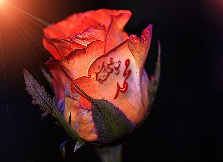 Kutlu Doğum Haftası Nedir, Neden Kutlanır, Hangi İbadetler Yapılır