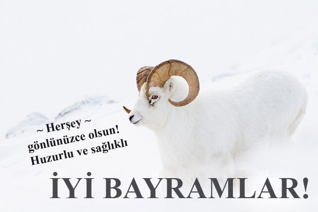 2018 Kurban Bayramı mesajları- En güzel Kurban Bayramı mesajları, kısa öz bayram mesajı