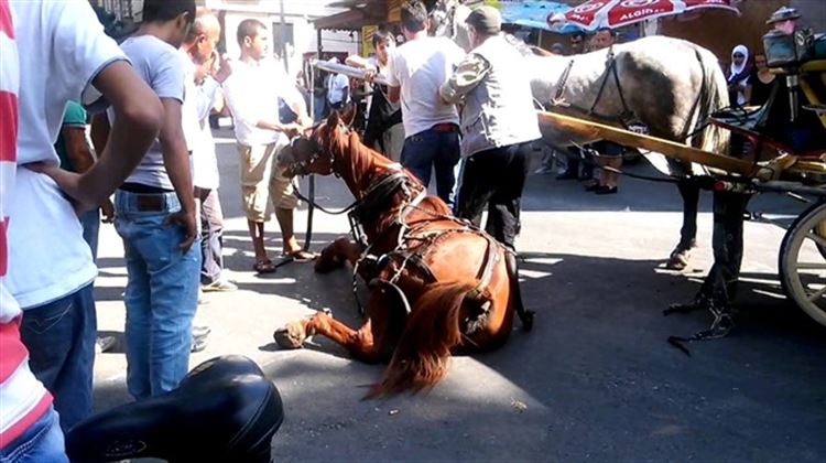 Aralık ayında görülen ruam hastalığı nedeniyle Adalar’a k