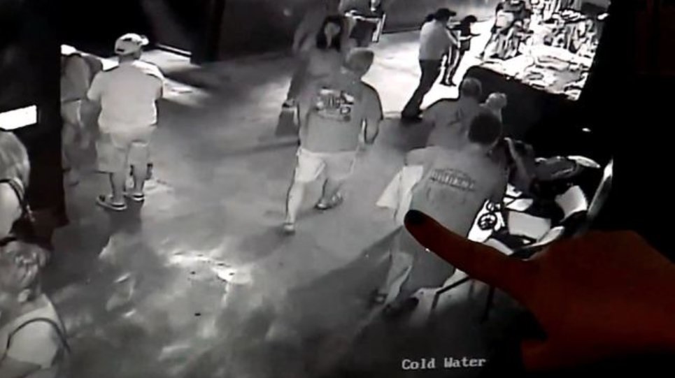 Hırsızlar yavru köpek balığını bebek arabasına koyarak çaldılar