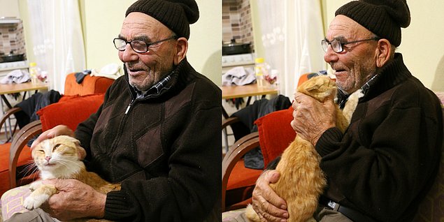 Kedisiyle sokakta kalan Ali Dede'ye yardım eli