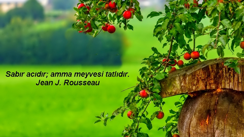 Mevlana'nın sabır ile ilgili sözleri | Facebook için en güzel sabırla ilgili sözler