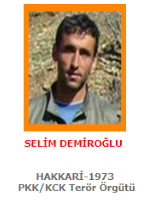 PKK'nın sözde Cudi sorumlusu Selim Demircioğlu öldürüldü