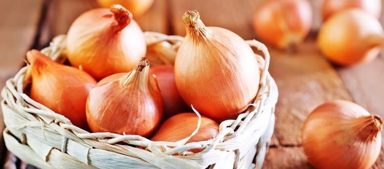 Soğanın faydaları nelerdir? Soğan neye iyi gelir?