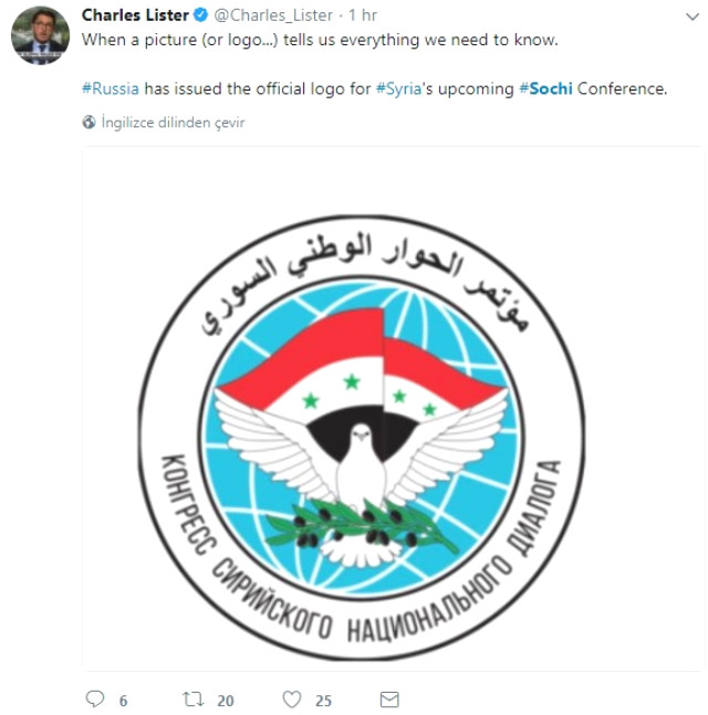 Soçi Zirvesi Logosuna Zeytin Dalı