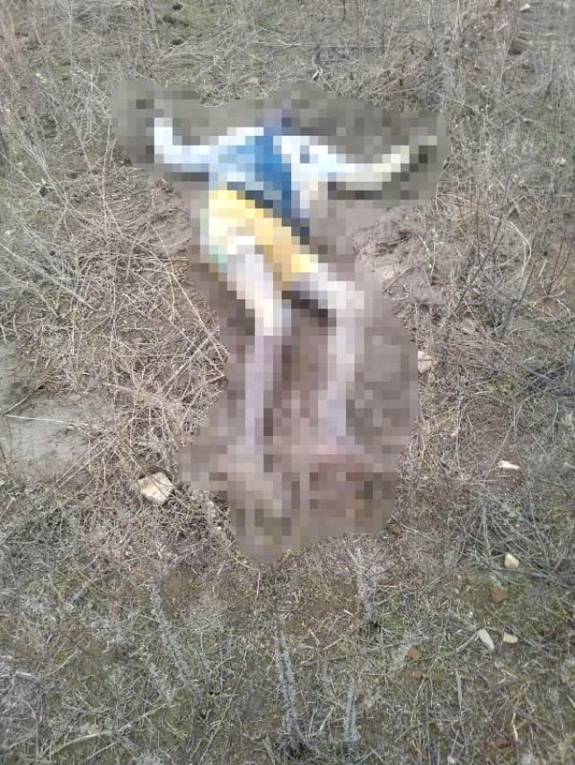 Edirne'de 3 ayrı sınır köyünde donarak ölen 3 göçmen bulundu