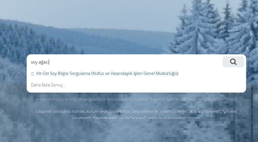 2018 Aile kütüğü nasıl sorgulanır?