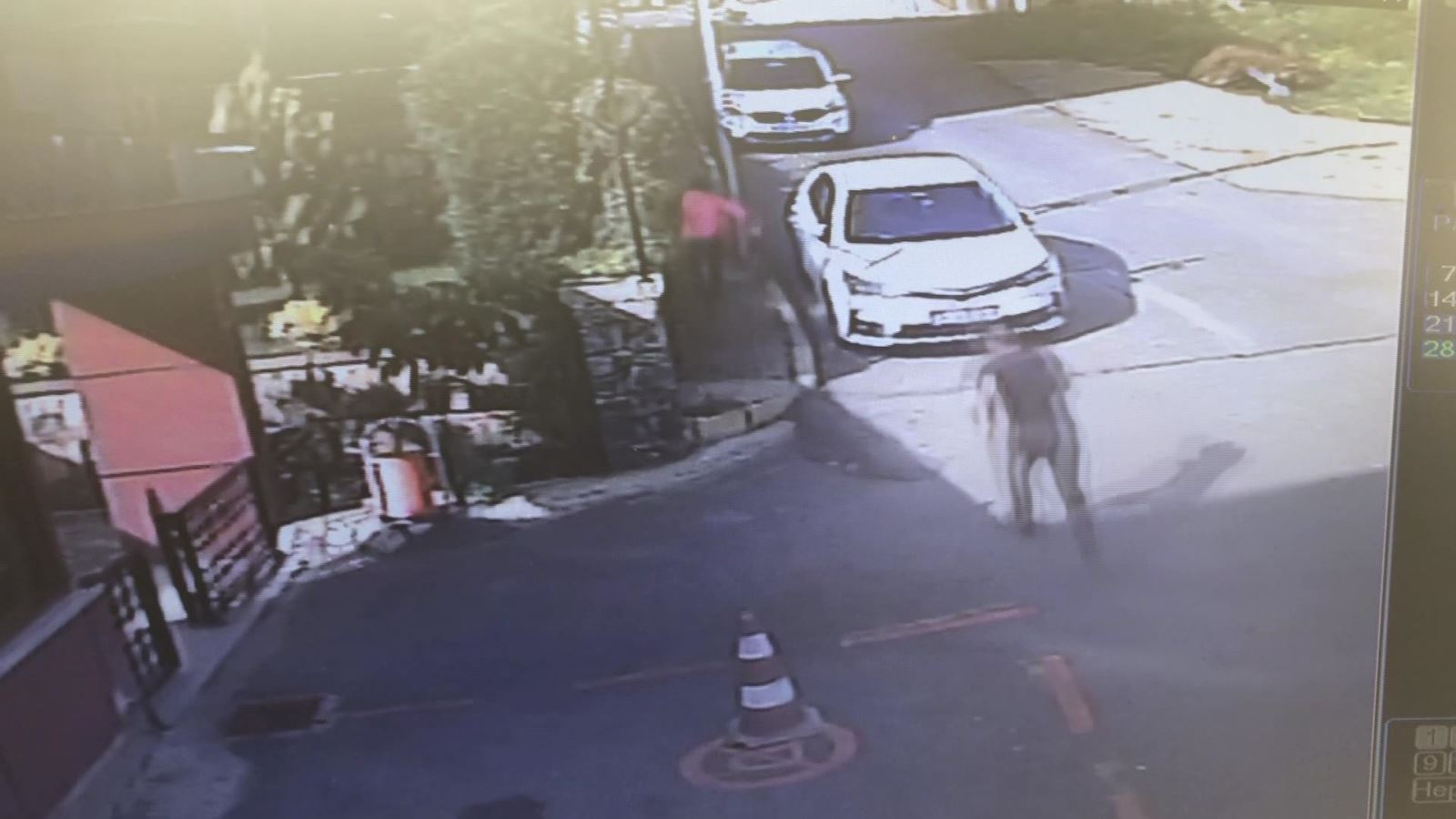 Tuzla'da aracına erik atan 11 yaşındaki çocuğu döven kişi yakalandı