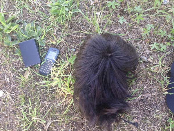 Bursa'da Uluslararası Hırsızlık Çetesi Yakalandı