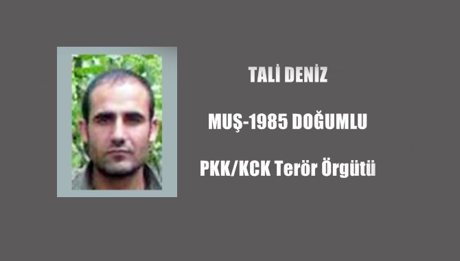 Şiyar-Rüstem kod adlı terörist Deniz Tali kimdir? Gri listede aranan terörist öldürüldü