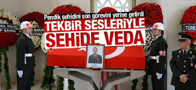 untitled-5-003.png untitled-5-003.png