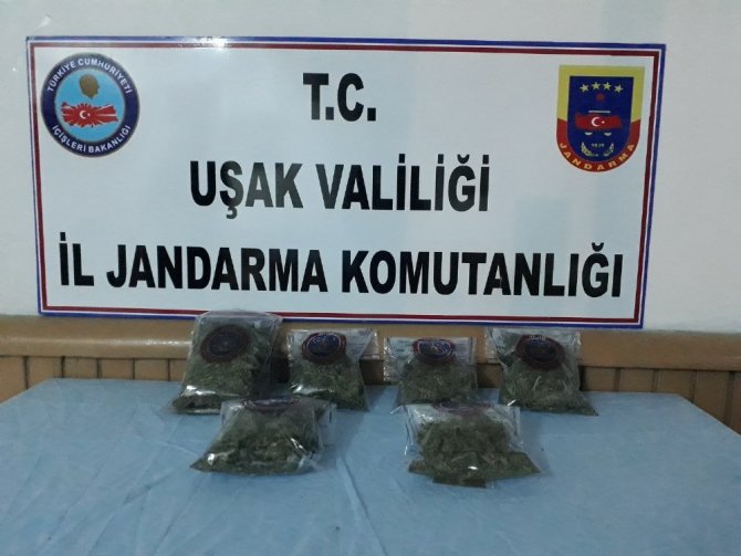 Uşak’ta 412 gram esrar ele geçirdi