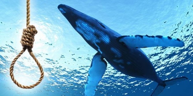 Blue whale oyunu nedir? Blue whale oyunu nasıl oynanır?