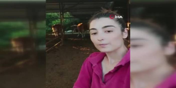 İneğin selfie merakı sosyal medyada viral oldu! Koşa koşa selfie çekilmeye geldi!